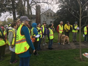rose-city-park-tree-walk 33133337814 o