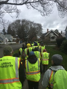 rose-city-park-tree-walk 33133338704 o