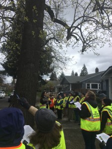 rose-city-park-tree-walk 33133338914 o